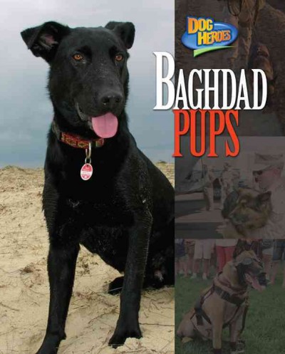 Baghdad Pups Cover